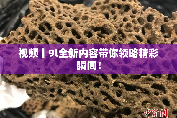 视频丨9l全新内容带你领略精彩瞬间！