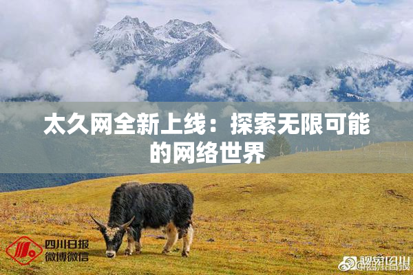 太久网全新上线：探索无限可能的网络世界
