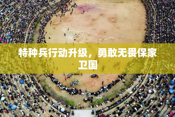 特种兵行动升级，勇敢无畏保家卫国