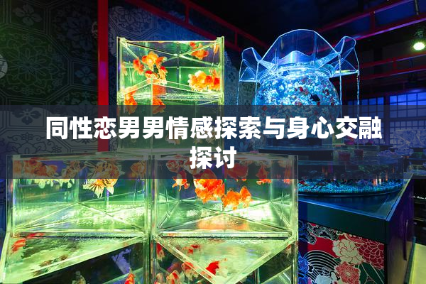 同性恋男男情感探索与身心交融探讨