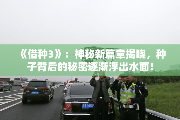 《借种3》：神秘新篇章揭晓，种子背后的秘密逐渐浮出水面！