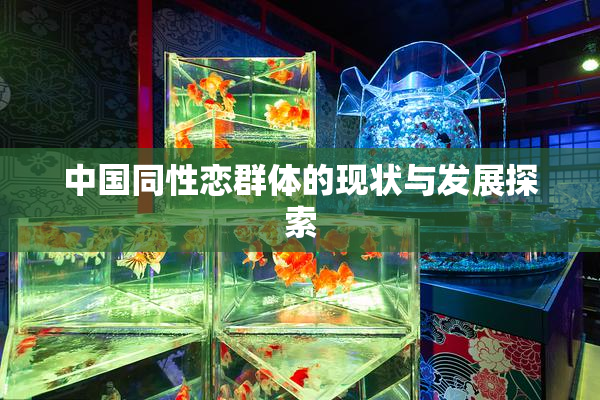 中国同性恋群体的现状与发展探索