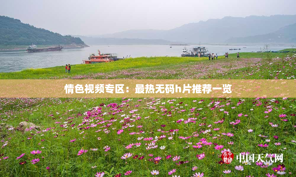情色视频专区：最热无码h片推荐一览