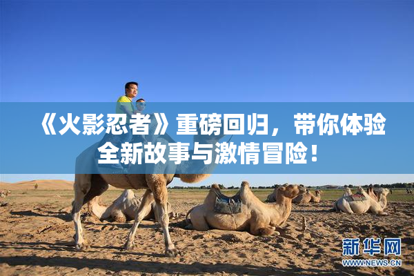 《火影忍者》重磅回归，带你体验全新故事与激情冒险！