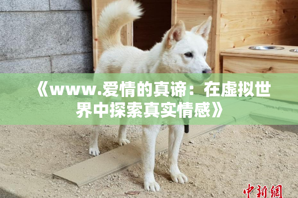 《www.爱情的真谛：在虚拟世界中探索真实情感》