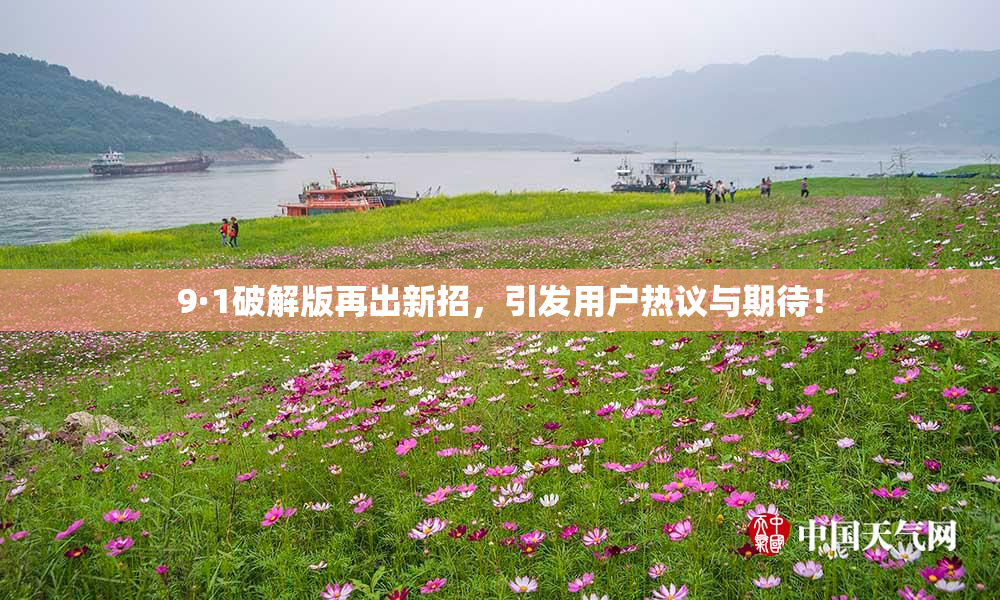9·1破解版再出新招，引发用户热议与期待！
