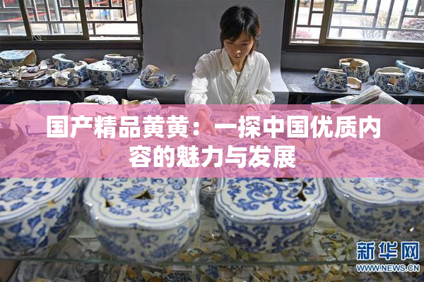 国产精品黄黄：一探中国优质内容的魅力与发展
