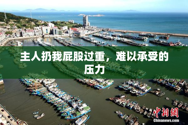 主人扔我屁股过重，难以承受的压力