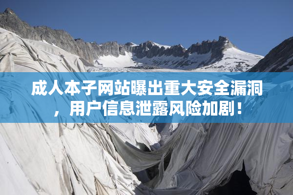 成人本子网站曝出重大安全漏洞，用户信息泄露风险加剧！