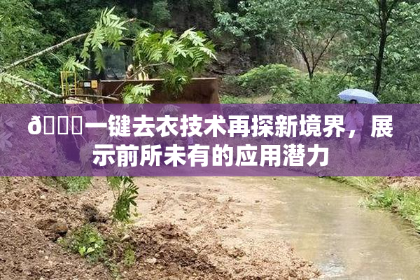 🔞一键去衣技术再探新境界，展示前所未有的应用潜力