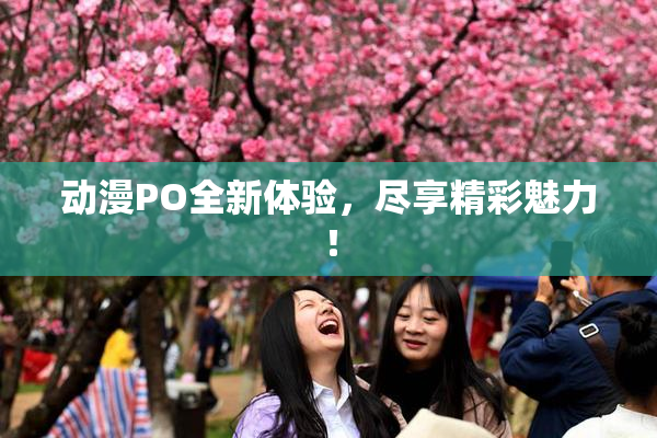 动漫PO全新体验，尽享精彩魅力！