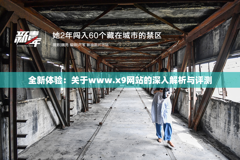 全新体验：关于www.x9网站的深入解析与评测