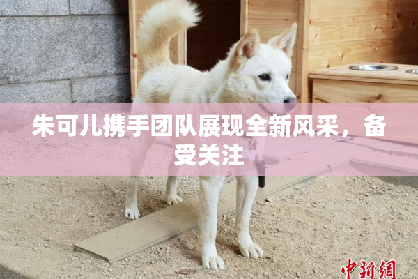 朱可儿携手团队展现全新风采，备受关注