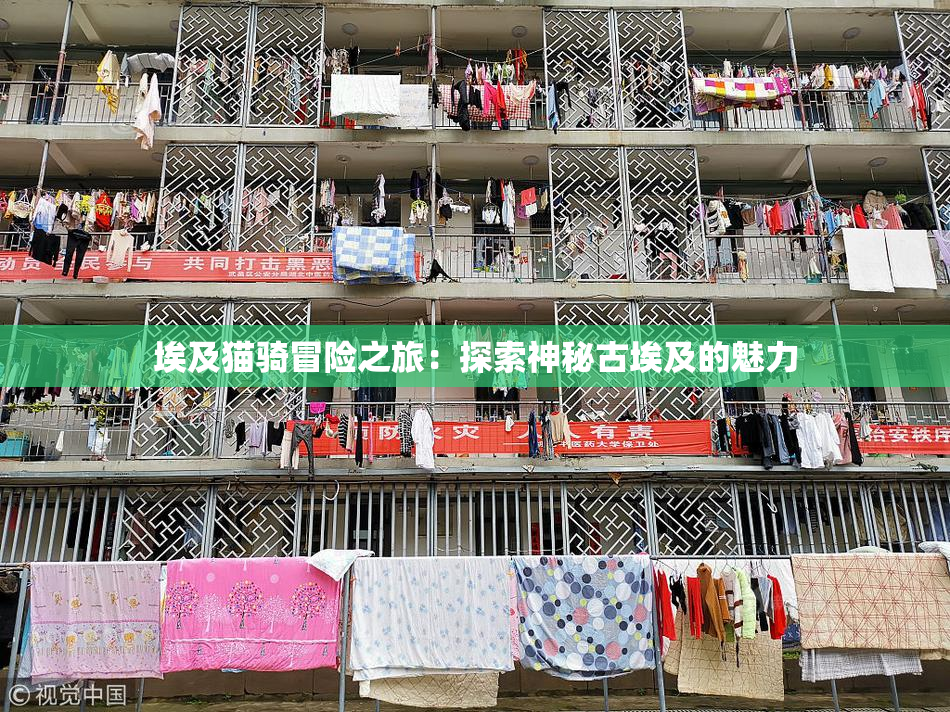 埃及猫骑冒险之旅：探索神秘古埃及的魅力