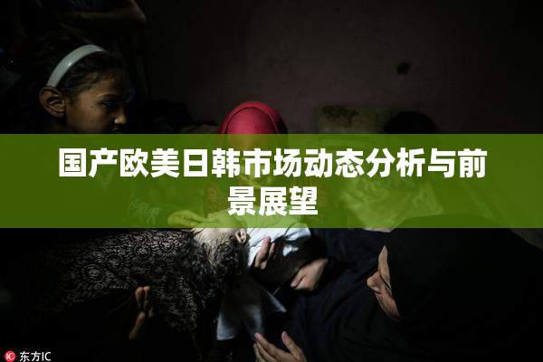 国产欧美日韩市场动态分析与前景展望