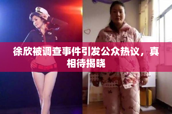 徐欣被调查事件引发公众热议，真相待揭晓