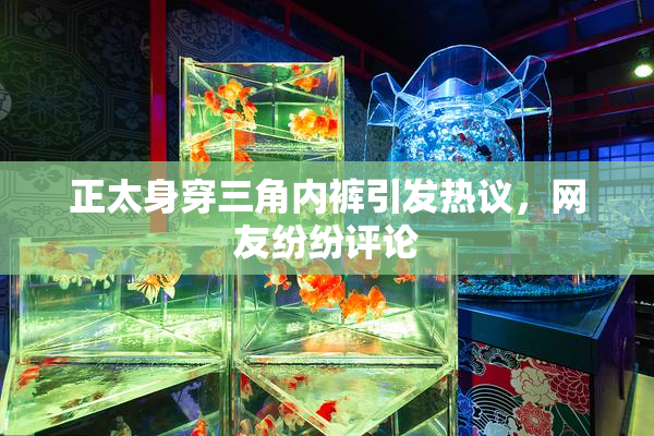 正太身穿三角内裤引发热议，网友纷纷评论