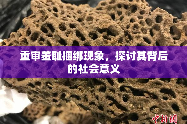 重审羞耻捆绑现象，探讨其背后的社会意义