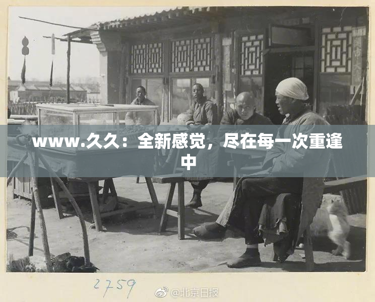 www.久久：全新感觉，尽在每一次重逢中