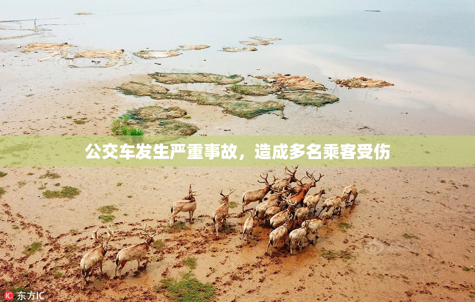 公交车发生严重事故，造成多名乘客受伤