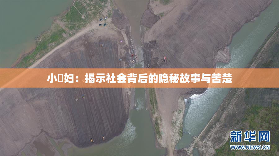 小婬妇：揭示社会背后的隐秘故事与苦楚