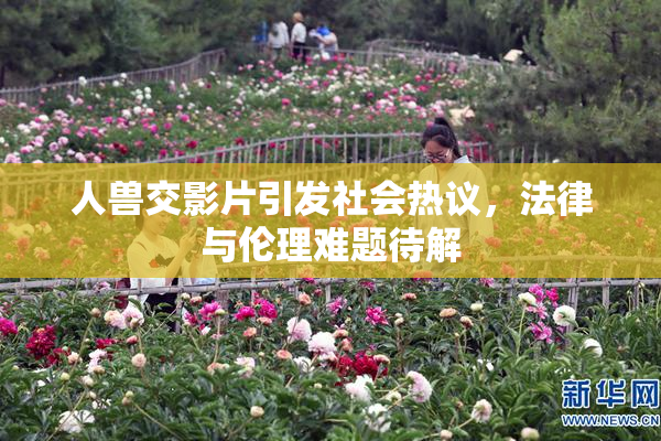 人兽交影片引发社会热议，法律与伦理难题待解