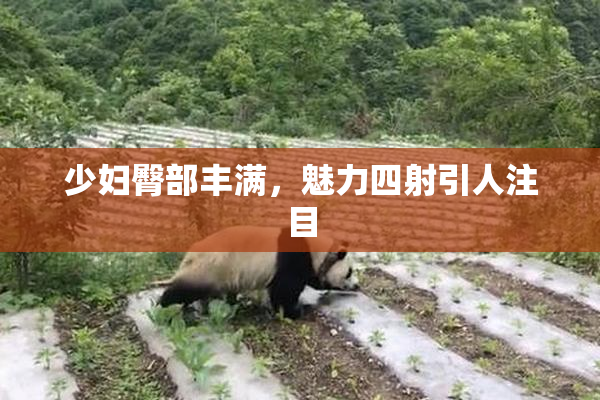 少妇臀部丰满，魅力四射引人注目