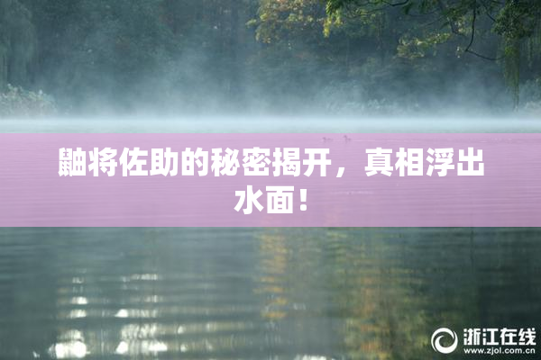 鼬将佐助的秘密揭开，真相浮出水面！