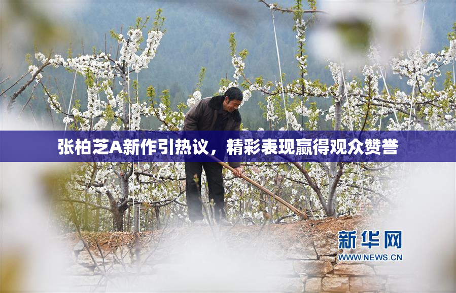 张柏芝A新作引热议，精彩表现赢得观众赞誉