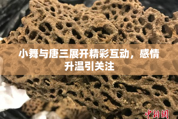 小舞与唐三展开精彩互动，感情升温引关注