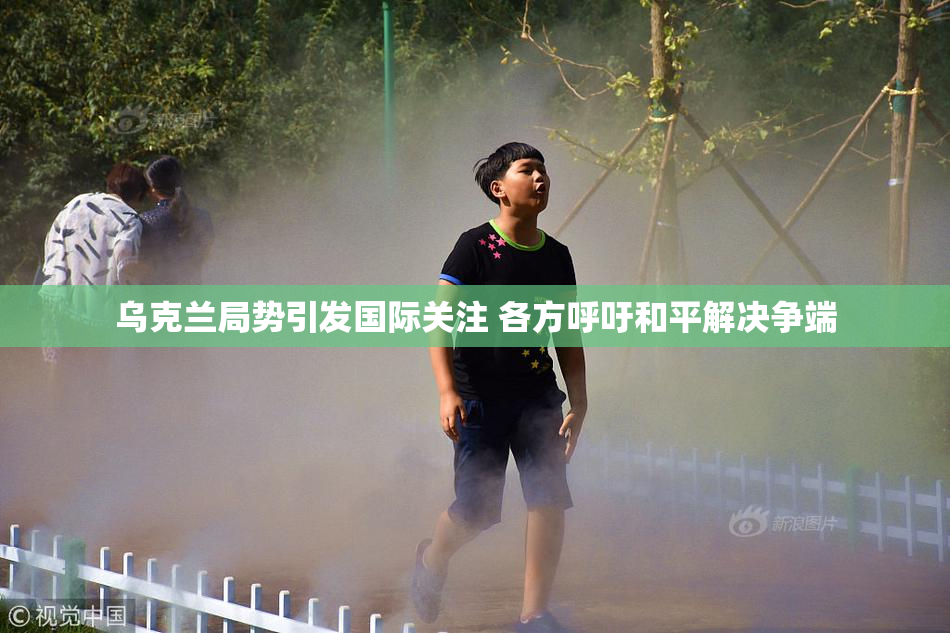 乌克兰局势引发国际关注 各方呼吁和平解决争端