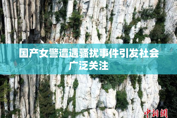 国产女警遭遇骚扰事件引发社会广泛关注