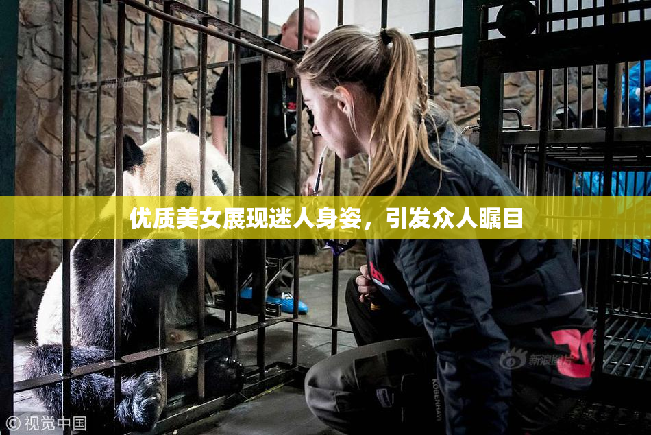 优质美女展现迷人身姿，引发众人瞩目