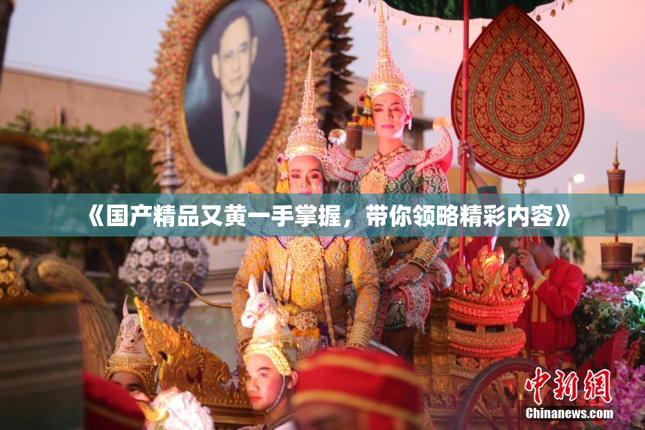 《国产精品又黄一手掌握，带你领略精彩内容》