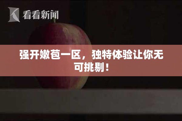 强开嫩苞一区，独特体验让你无可挑剔！