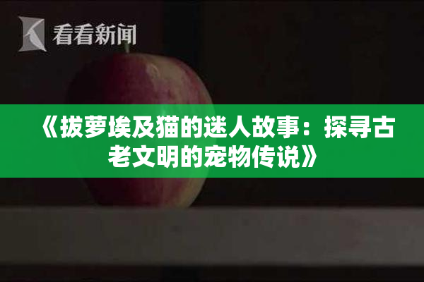 《拔萝埃及猫的迷人故事：探寻古老文明的宠物传说》