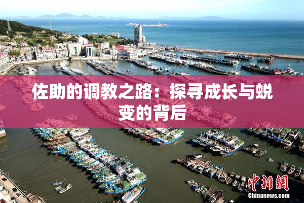 佐助的调教之路：探寻成长与蜕变的背后