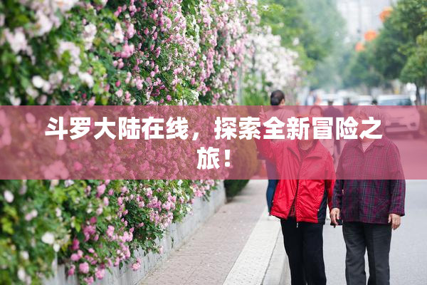 斗罗大陆在线，探索全新冒险之旅！