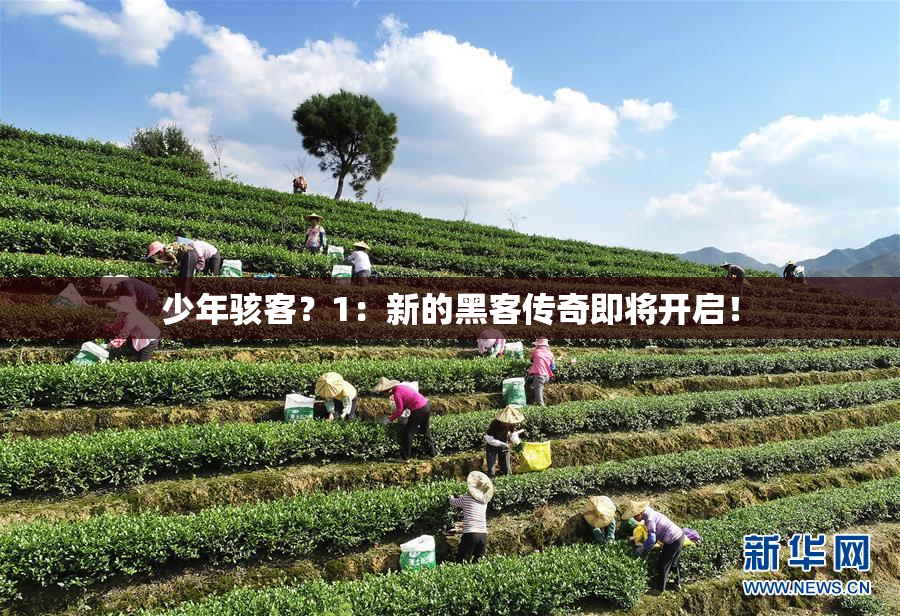 少年骇客？1：新的黑客传奇即将开启！