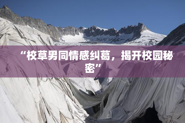 “校草男同情感纠葛，揭开校园秘密”