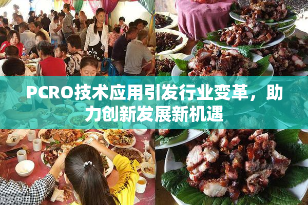 PCRO技术应用引发行业变革，助力创新发展新机遇