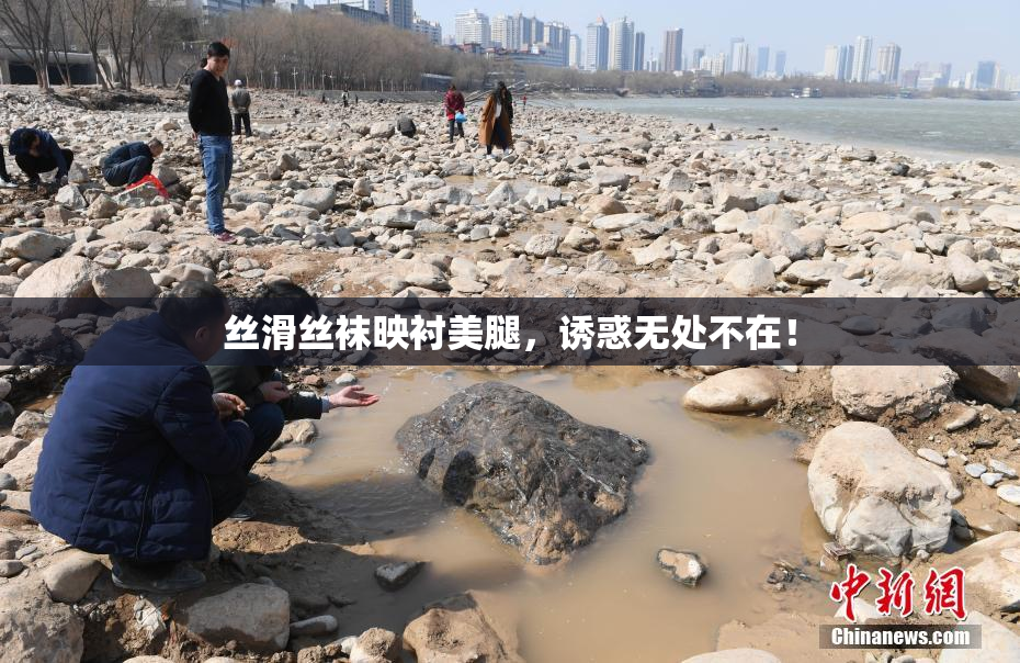 丝滑丝袜映衬美腿，诱惑无处不在！