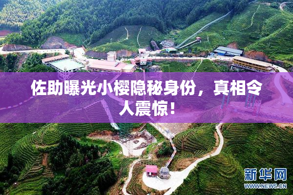 佐助曝光小樱隐秘身份，真相令人震惊！