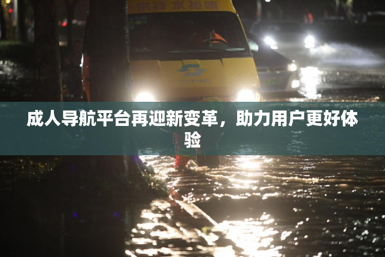 成人导航平台再迎新变革，助力用户更好体验