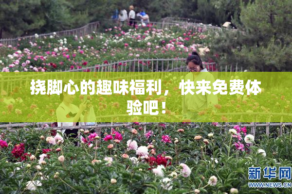 挠脚心的趣味福利，快来免费体验吧！
