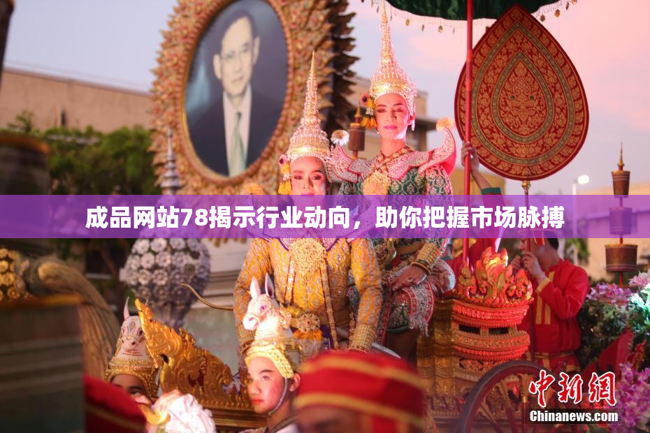 成品网站78揭示行业动向，助你把握市场脉搏