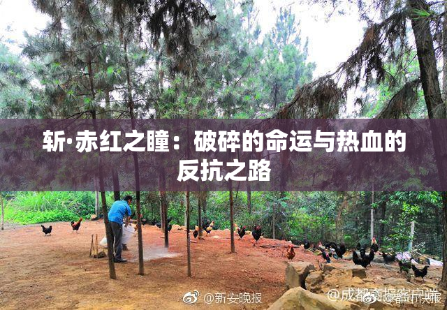 斩·赤红之瞳：破碎的命运与热血的反抗之路