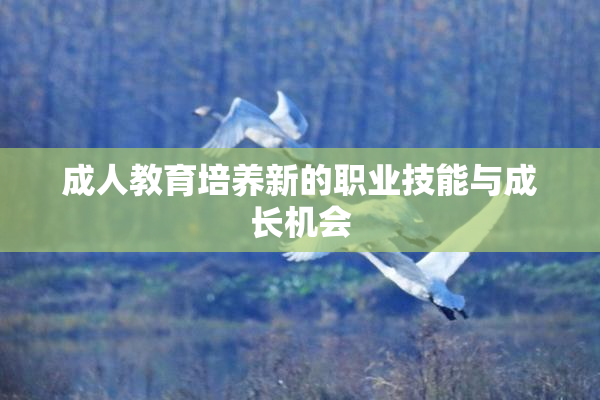 成人教育培养新的职业技能与成长机会