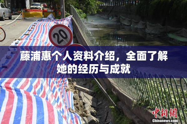 藤浦惠个人资料介绍，全面了解她的经历与成就