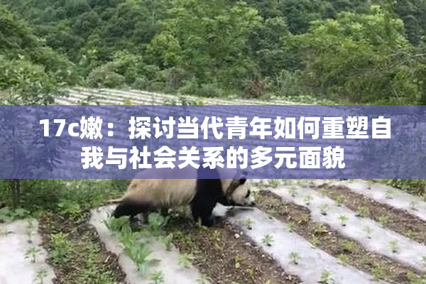 17c嫩：探讨当代青年如何重塑自我与社会关系的多元面貌